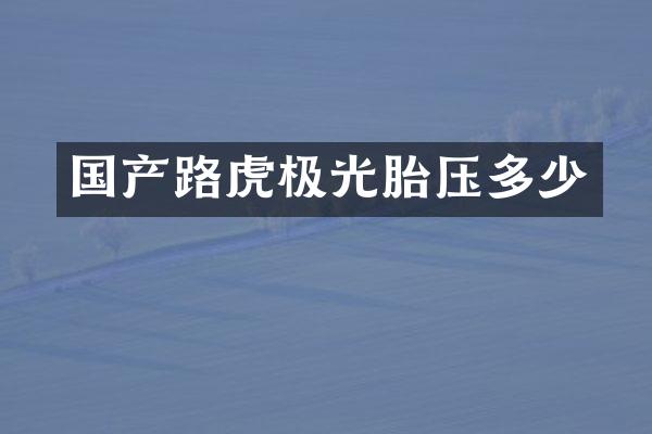 国产路虎极光胎压多少