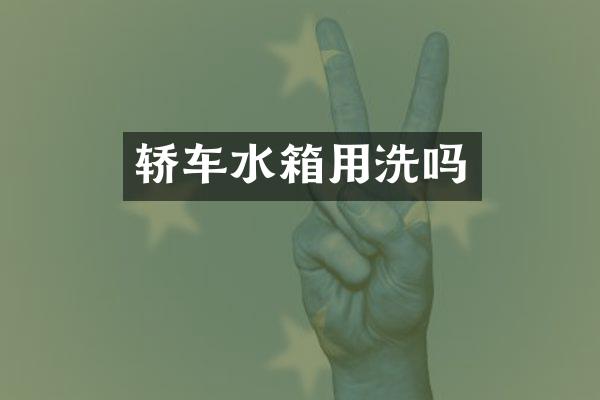 轿车水箱用洗吗