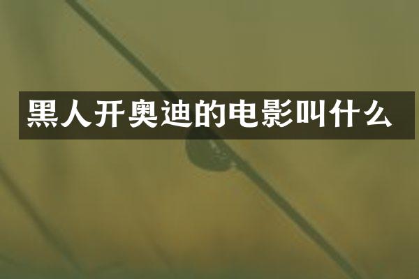 黑人开奥迪的电影叫什么