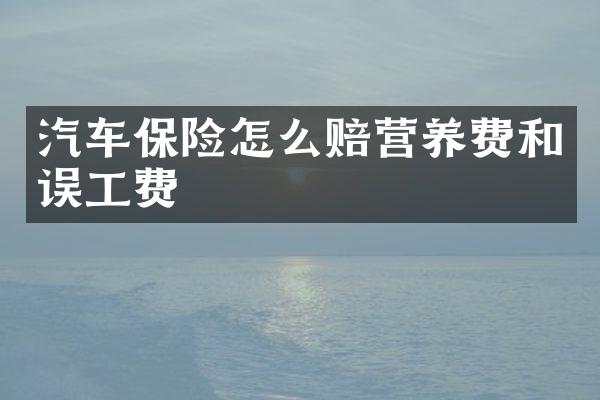 汽车保险怎么赔营养费和误工费