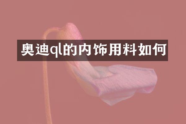 奥迪ql的内饰用料如何