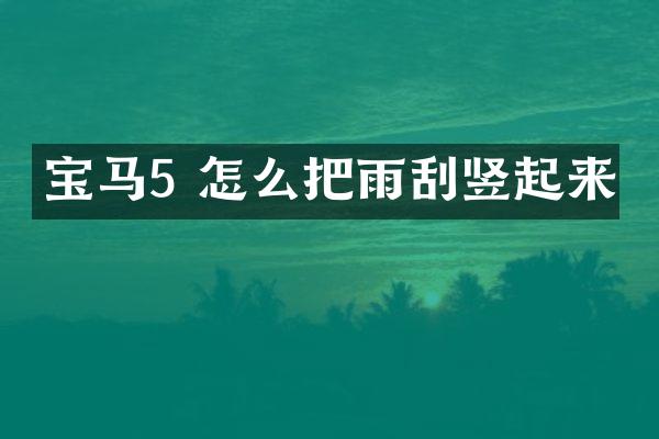 宝马5 怎么把雨刮竖起来