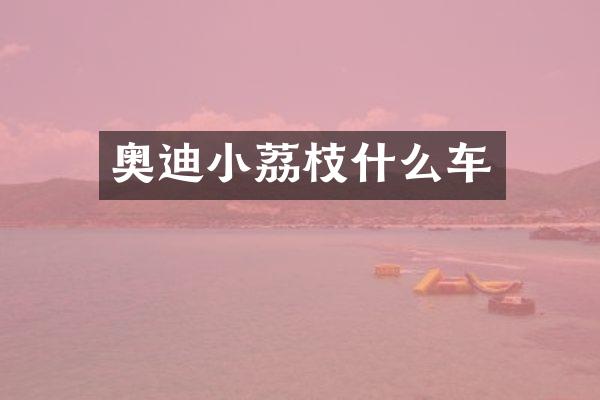 奥迪小荔枝什么车