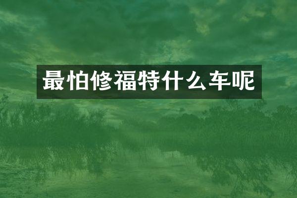 最怕修福特什么车呢