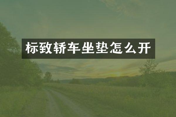 标致轿车坐垫怎么开