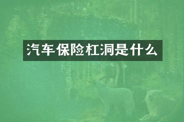 汽车保险杠洞是什么