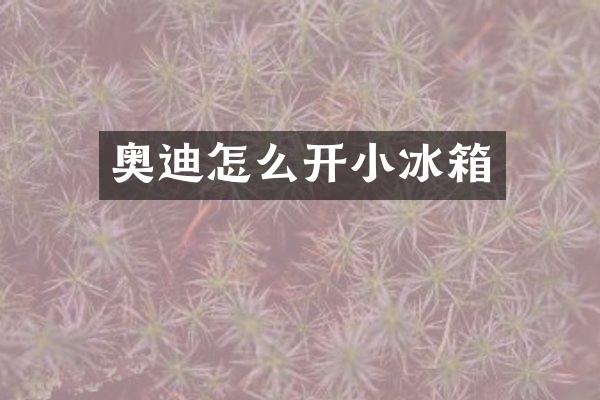奥迪怎么开小冰箱