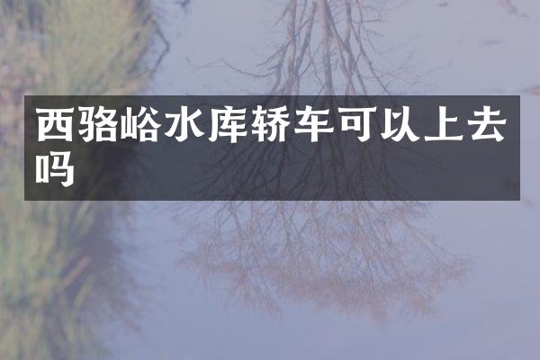 西骆峪水库轿车可以上去吗
