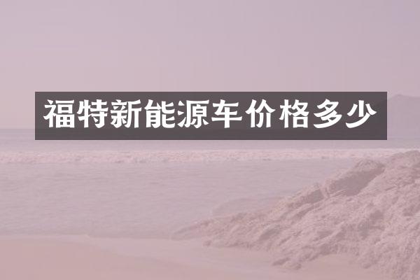 福特新能源车价格多少