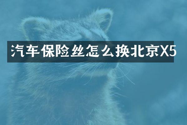 汽车保险丝怎么换北京X5