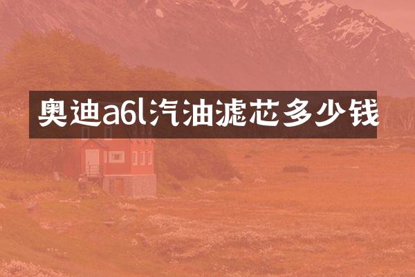 奥迪a6l汽油滤芯多少钱