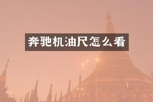 奔驰机油尺怎么看