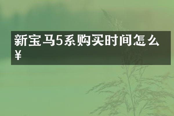 新宝马5系购买时间怎么查