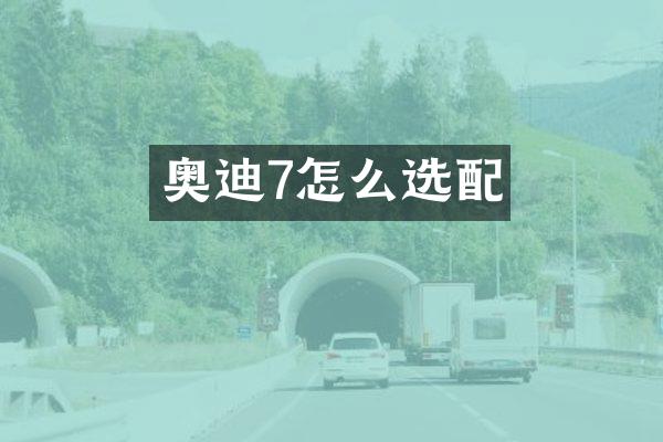 奥迪7怎么选配