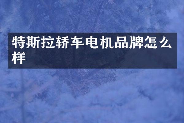 特斯拉轿车电机品牌怎么样