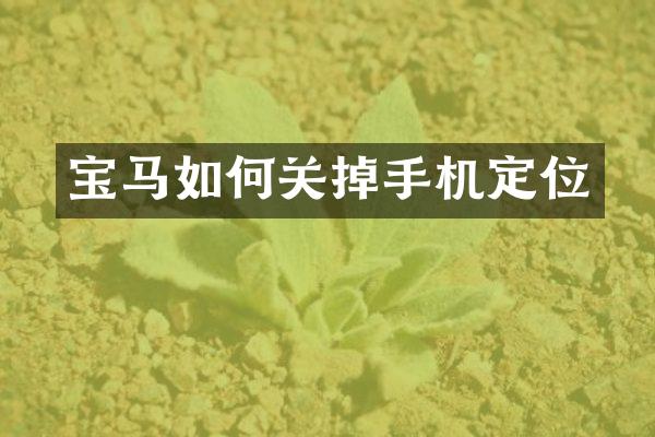 宝马如何关掉手机定位