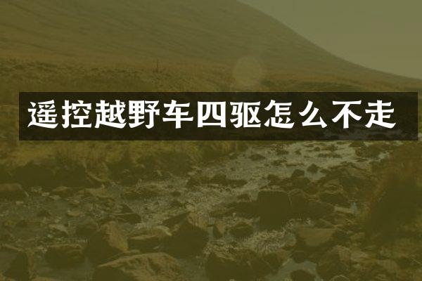 遥控越野车四驱怎么不走