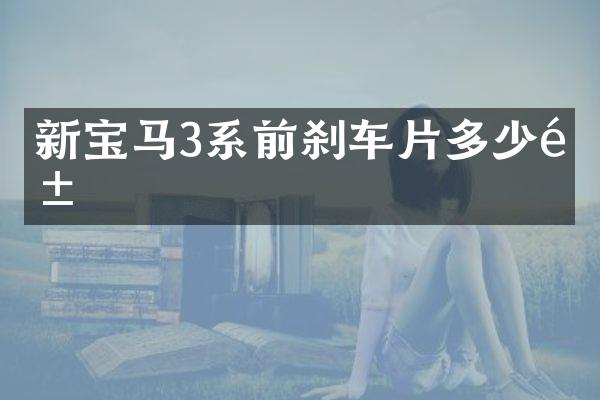 新宝马3系前刹车片多少钱