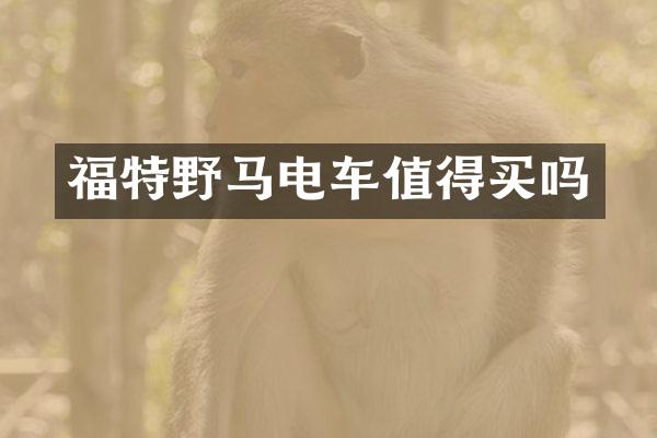 福特野马电车值得买吗