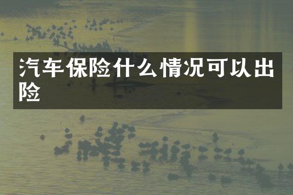 汽车保险什么情况可以出险