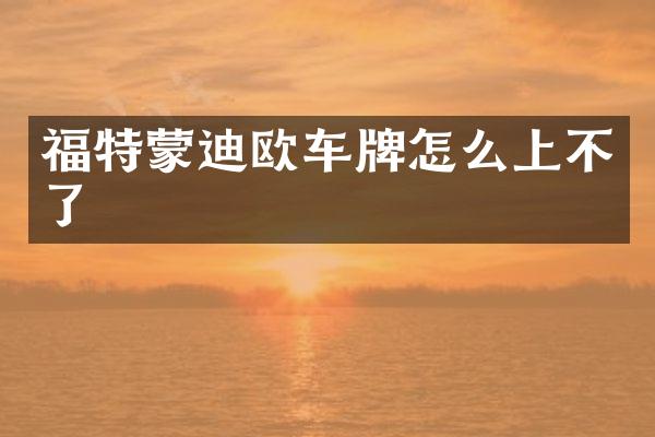 福特蒙迪欧车牌怎么上不了