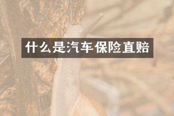 什么是汽车保险直赔
