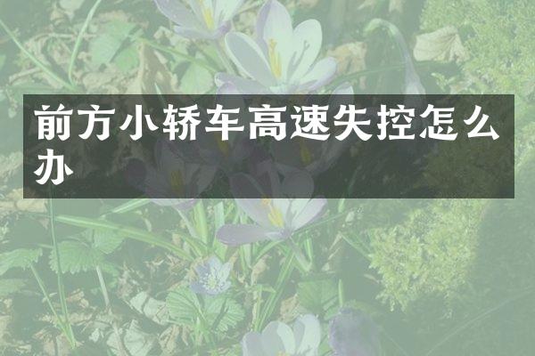 前方小轿车高速失控怎么办