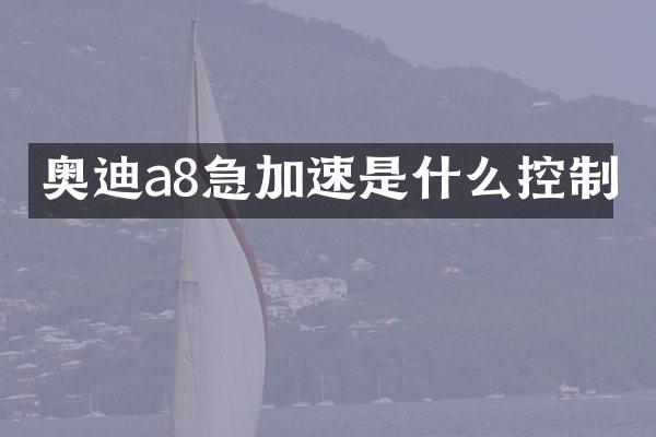 奥迪a8急加速是什么控制