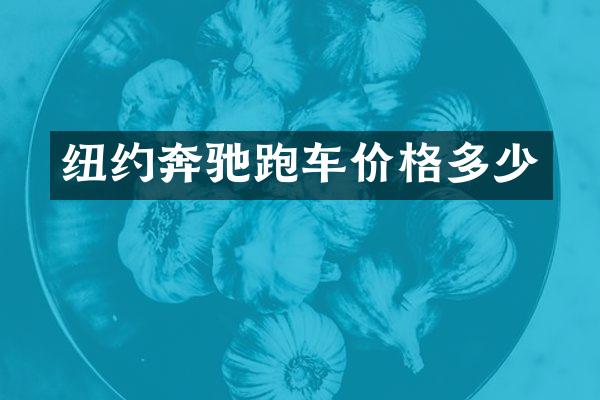 纽约奔驰跑车价格多少