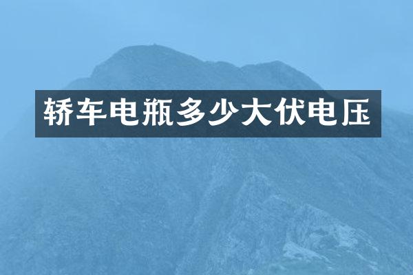 轿车电瓶多少大伏电压