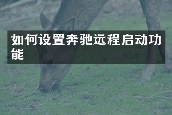 如何设置奔驰远程启动功能