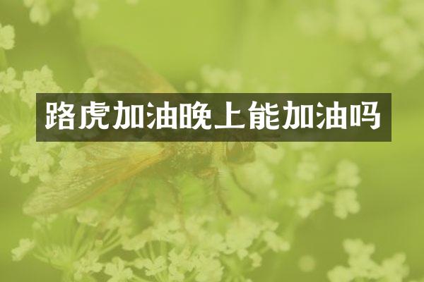 路虎加油晚上能加油吗