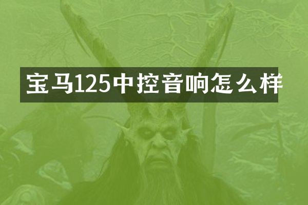 宝马125中控音响怎么样