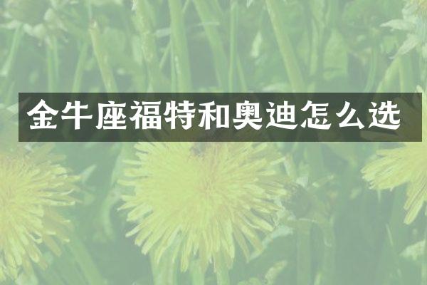 金牛座福特和奥迪怎么选
