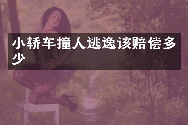 小轿车撞人逃逸该赔偿多少