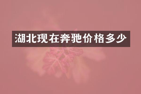 湖北现在奔驰价格多少