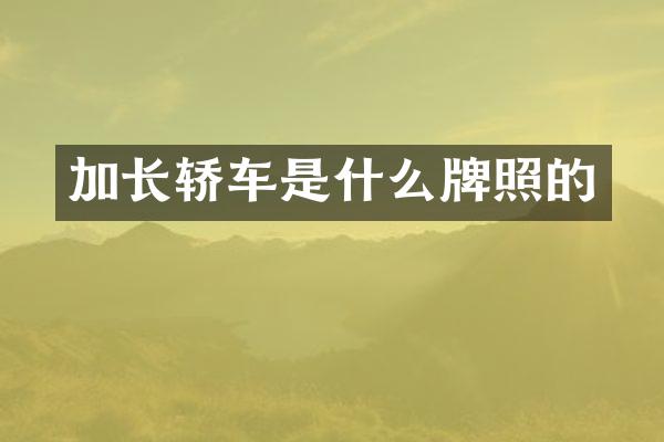 加长轿车是什么牌照的