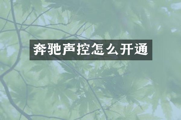 奔驰声控怎么开通