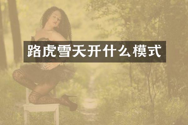 路虎雪天开什么模式