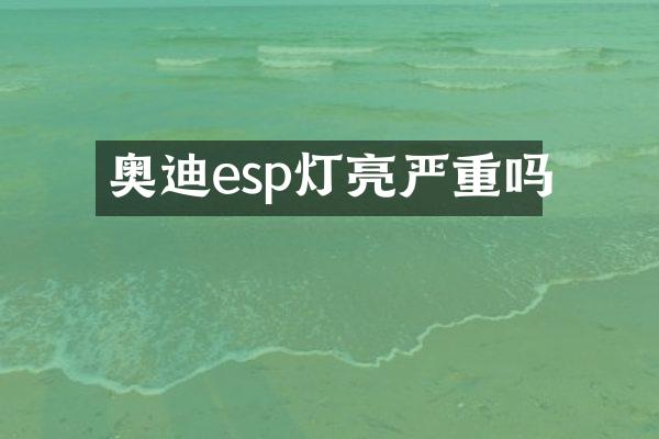 奥迪esp灯亮严重吗