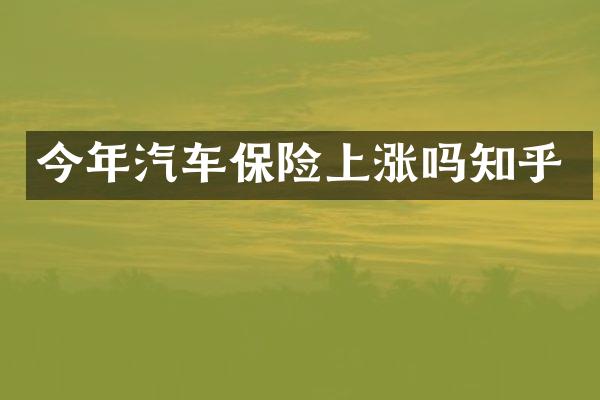 今年汽车保险上涨吗知乎