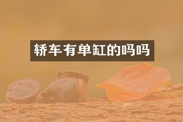 轿车有单缸的吗吗