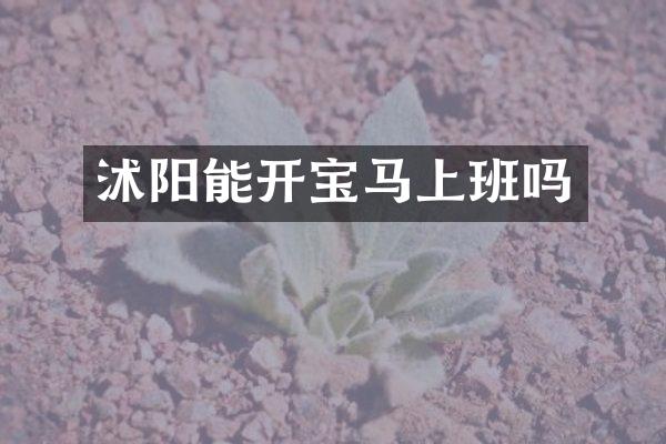 沭阳能开宝马上班吗