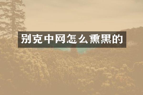 别克中网怎么熏黑的