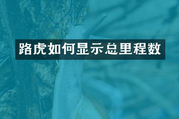路虎如何显示总里程数