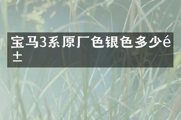 宝马3系原厂色银色多少钱