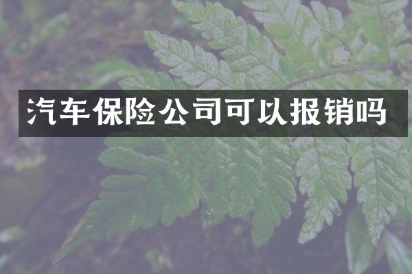汽车保险公司可以报销吗