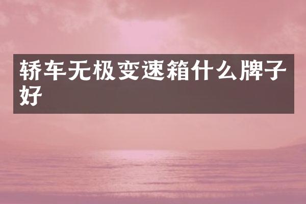 轿车无极变速箱什么牌子好