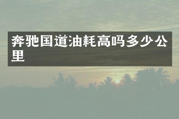 奔驰国道油耗高吗多少公里