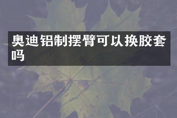 奥迪铝制摆臂可以换胶套吗